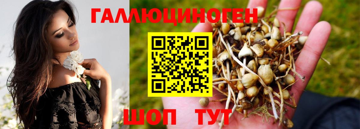 Омск  Галлюциногенные грибы мицелий  Вход с VPN 